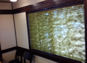 IMG_20150105_1159301-550x400